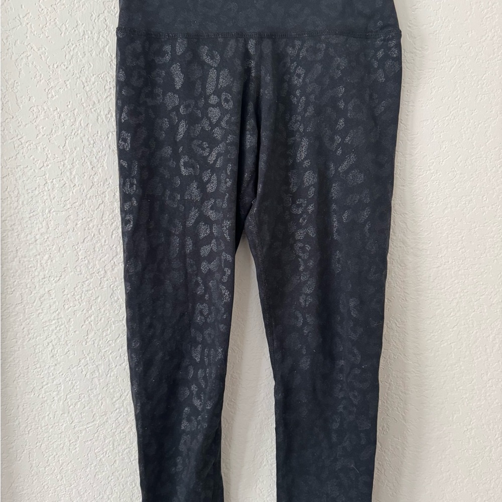 Evolution and Creation Charcoal Gray Apparel